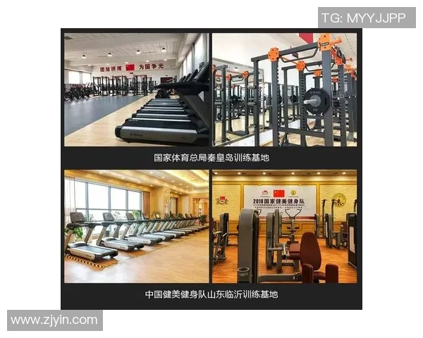 北京排球队的速度分析与战术应用探讨助力球队提升竞技水平