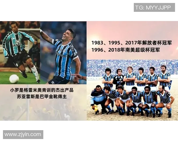 南美足球明星队员全解析及其在国际赛场上的辉煌表现